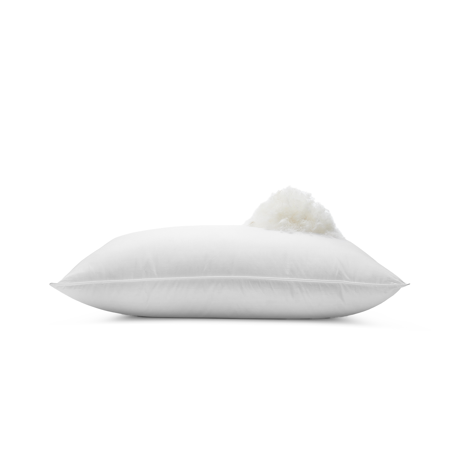 The Recycled Down Pillow